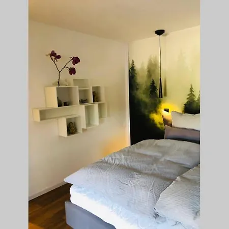 Top Ausgestattetes In Traumlage Apartmán Bühlertal